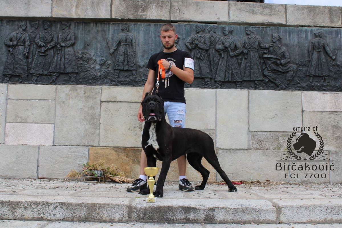 Apriori Best Ignite My Fire